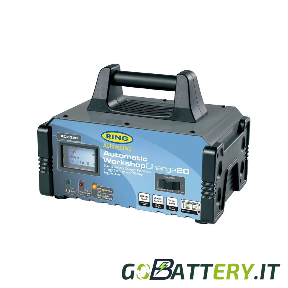 Caricabatterie Auto 20A 12V/24V Intelligente | Riparazione a Impulsi UE