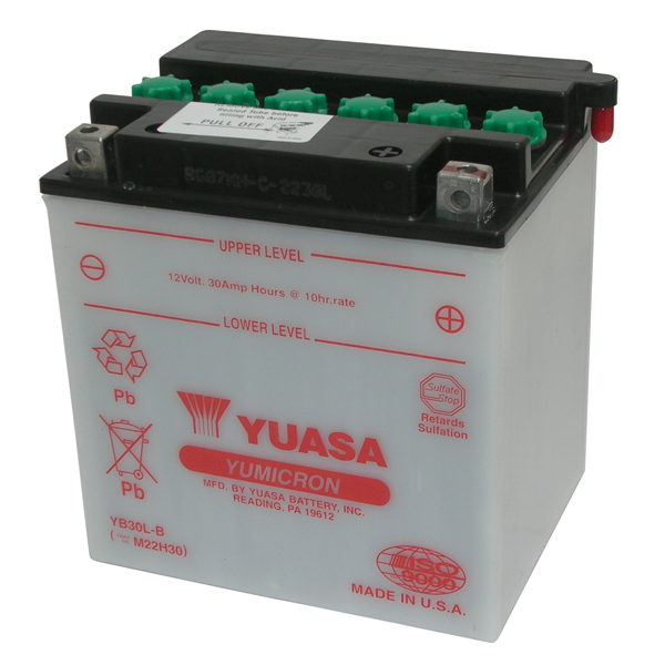 Batteria YUASA 12V 30Ah
