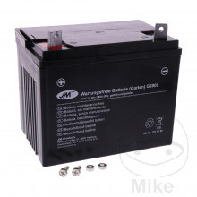 Batteria G280L AGM JMT 12v 16 Ah (10 Std)
