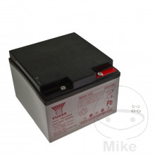 Batteria AGM Yuasa 12v 24.0 Ah (10 Std)