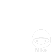 Batteria Moto HJ13-FPZ Litio Skyrich 12v 12 Ah (10 Std)